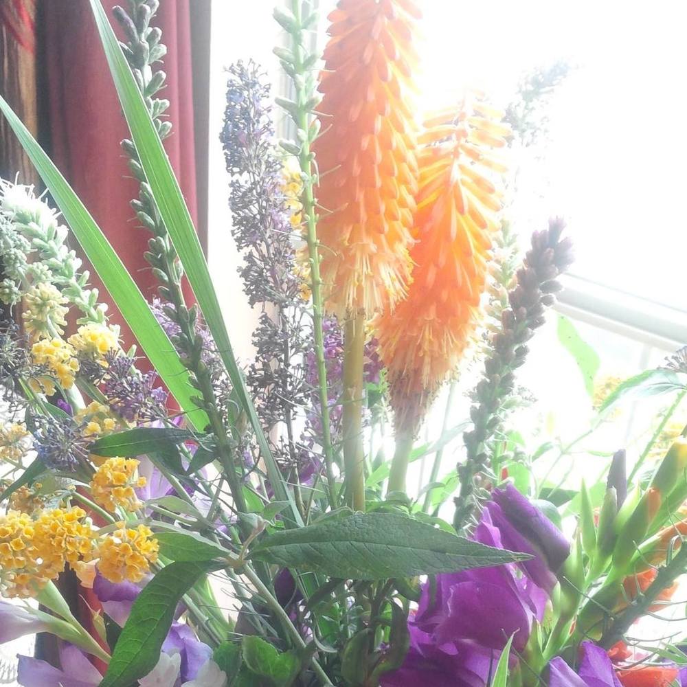 Meet your Posher, Glenda